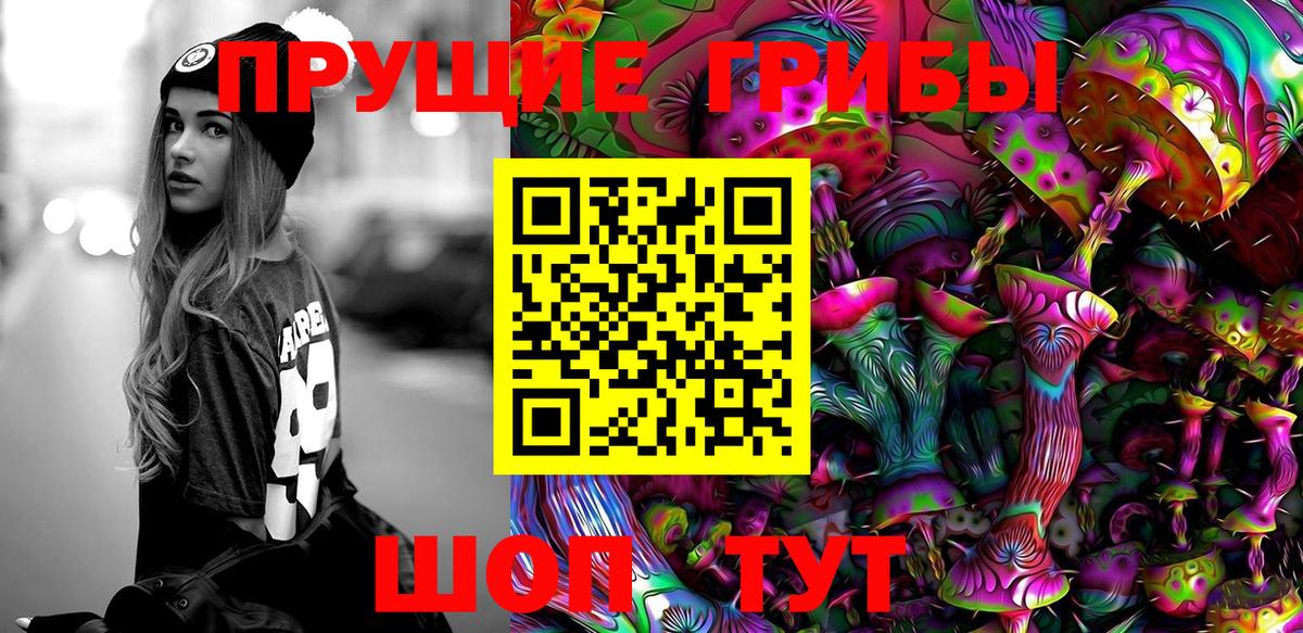 Галлюциногенные грибы Psilocybine cubensis  Вход с VPN  Галлюциногенные грибы Cubensis  Будённовск 