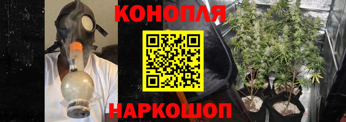 Каннабис планчик Будённовск